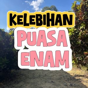 photo_6213214323530730730_y